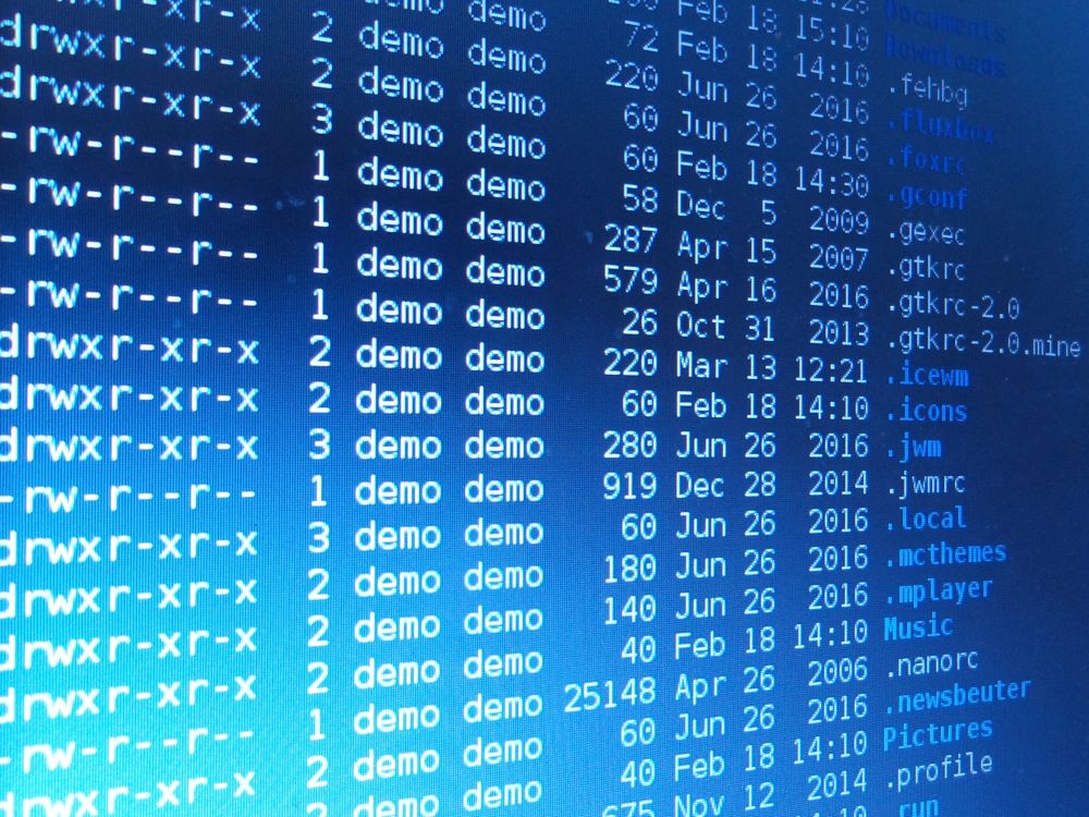 antiX Linux terminal antiX Linux home directory in the terminal