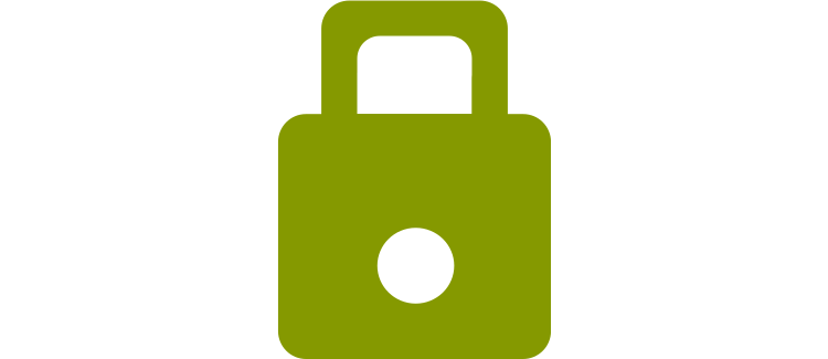 Green lock green lock vector image