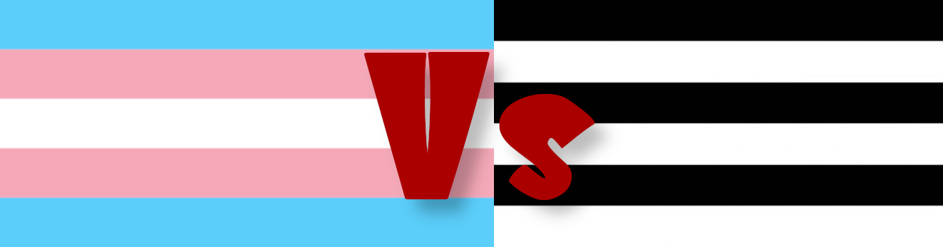 Trans Vs Straight Trans pride flag versus straight pride flag